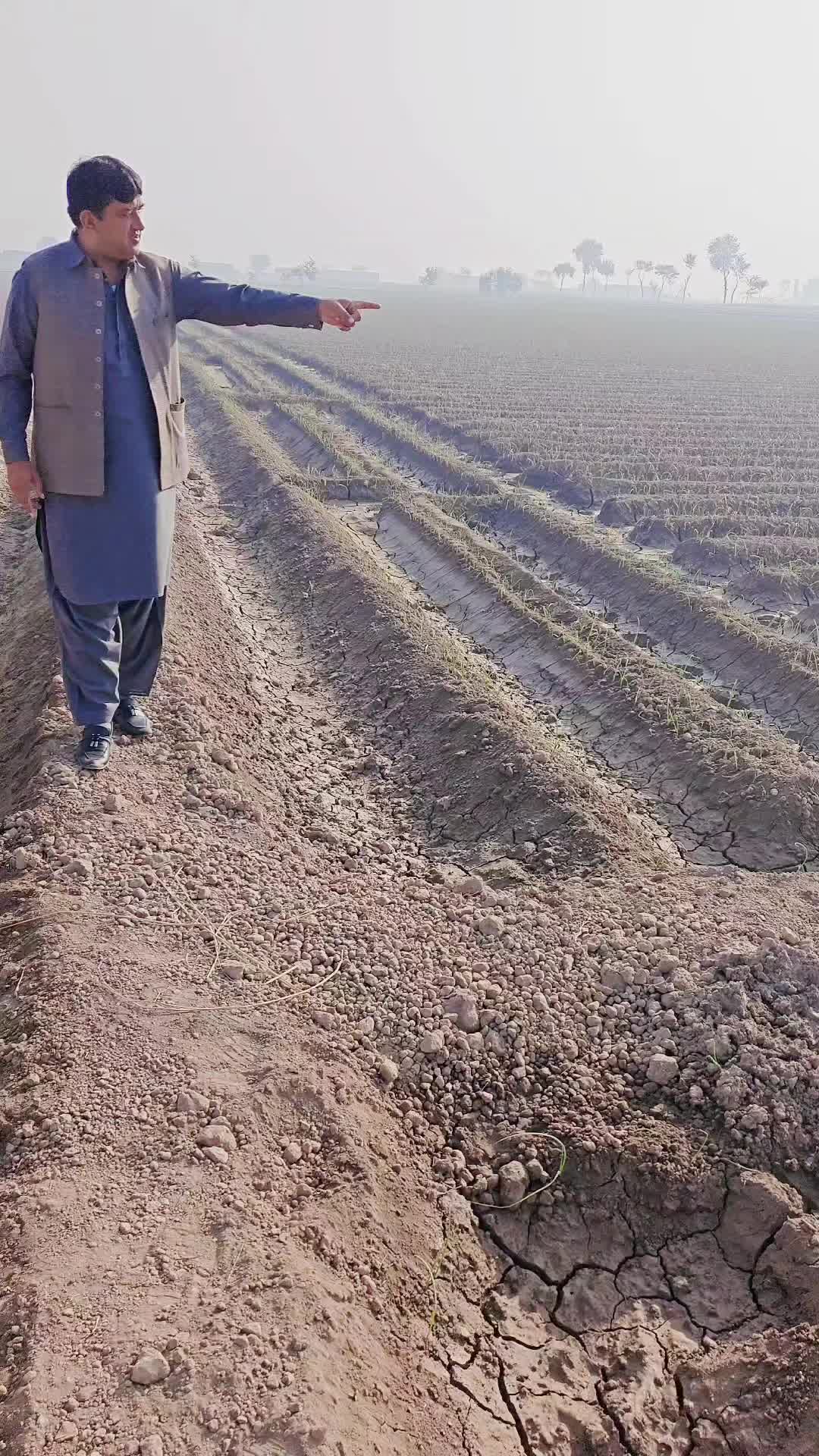 @M zafar Iqbal kathia