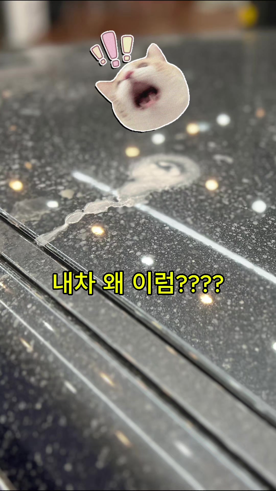 @샤인카랩디테일링본점