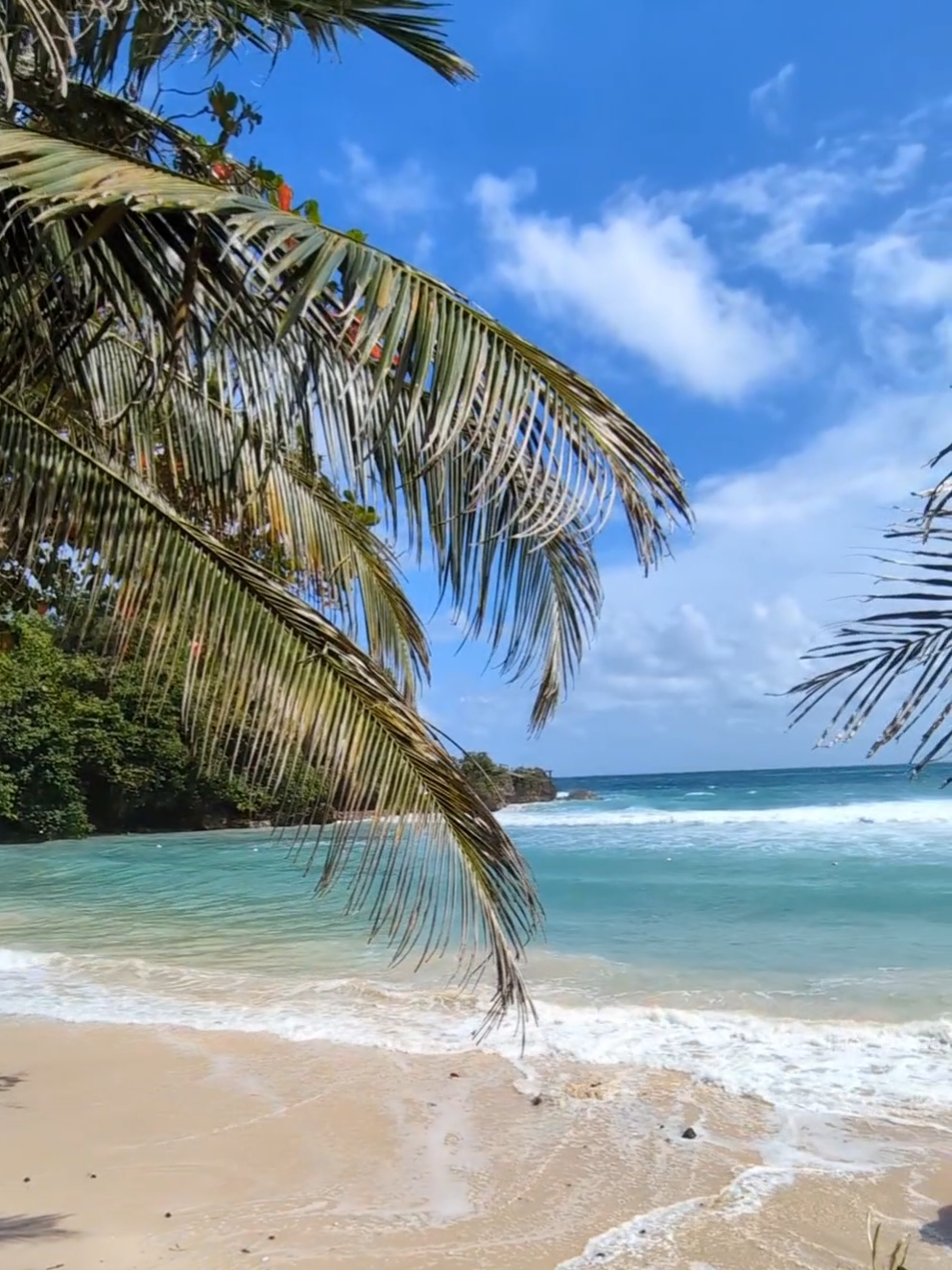 @Jamaica Untouched
