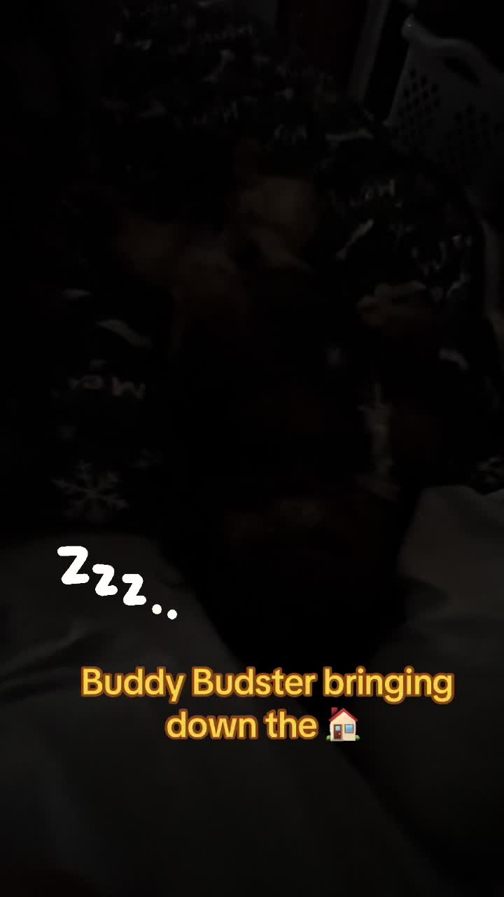 @BurrBabies4