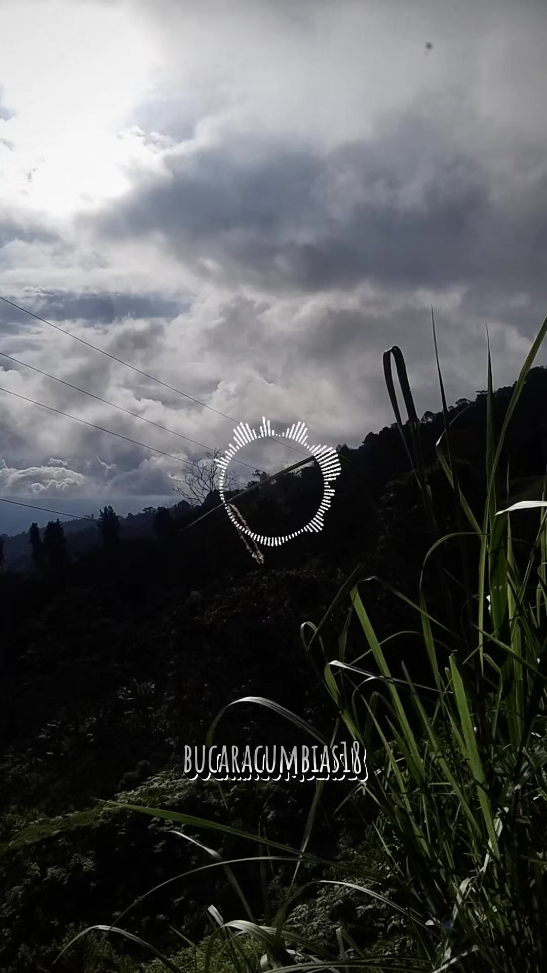 @bucaracumbias18