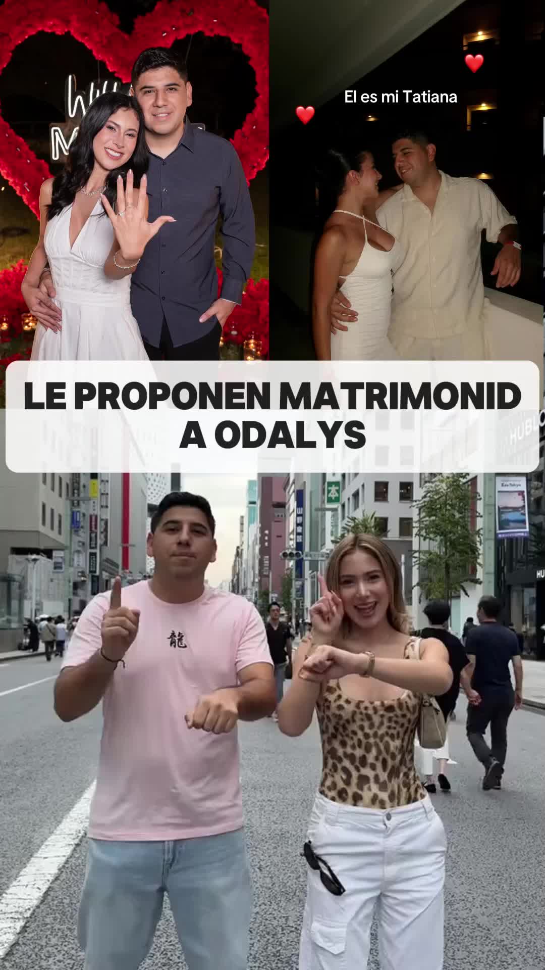 @meshdgxgf4