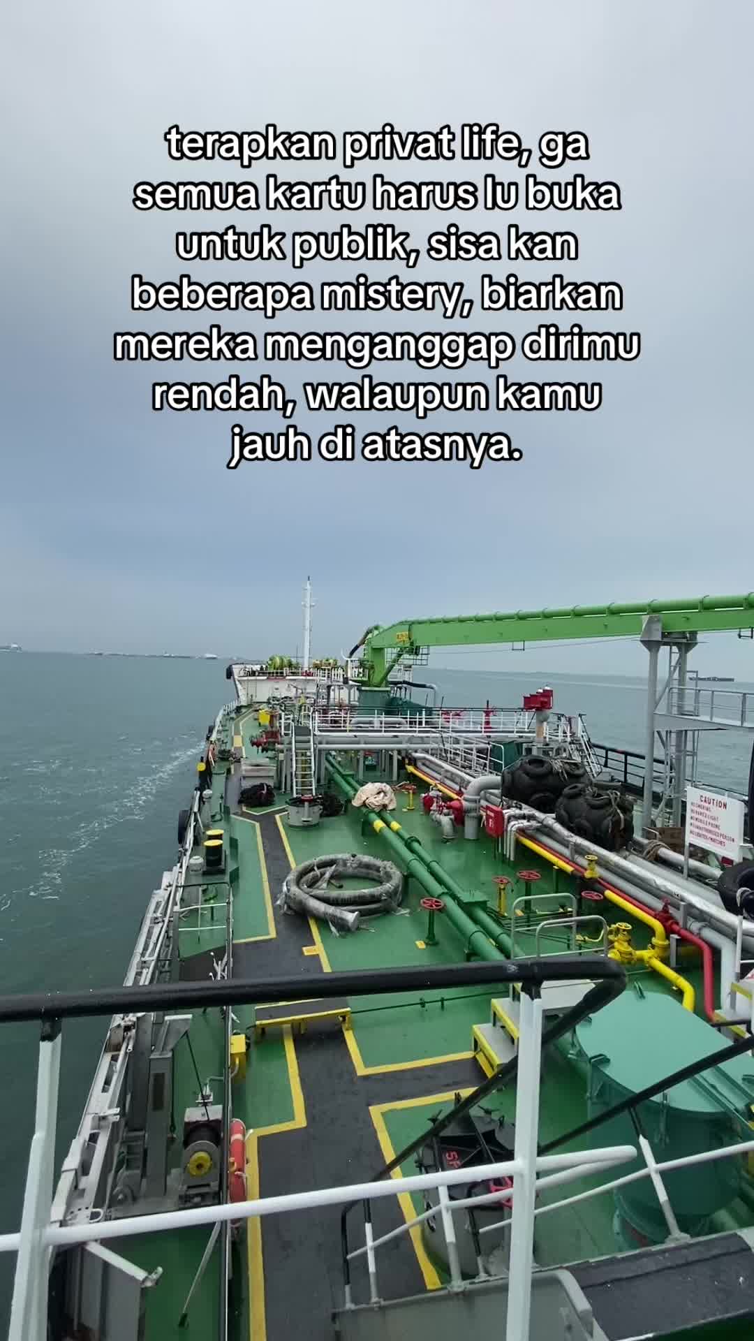 @🐬