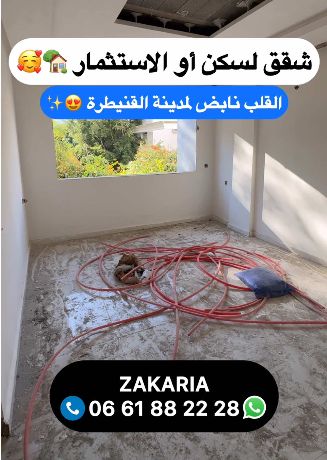 @Zakaria Haddad 🇲🇦🇵🇸