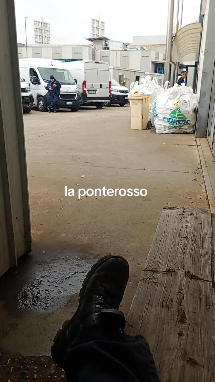 @ivorongaro6
