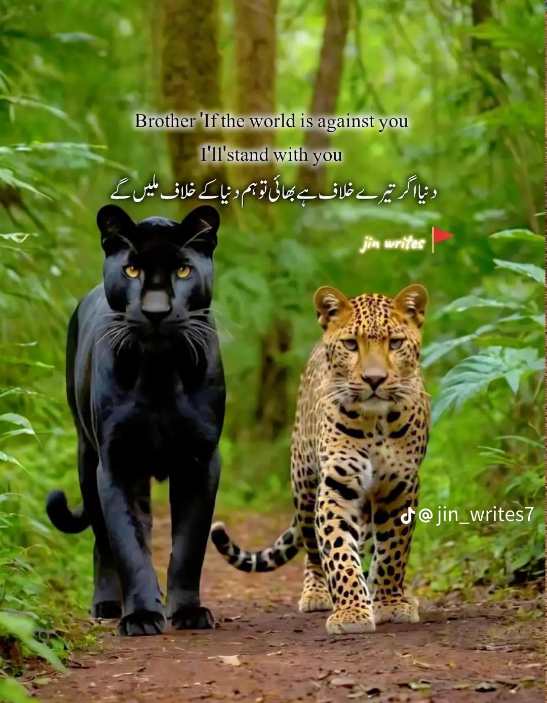 @M 🥷عامرkhan✌️✌️حجانا🥰🥰🥰