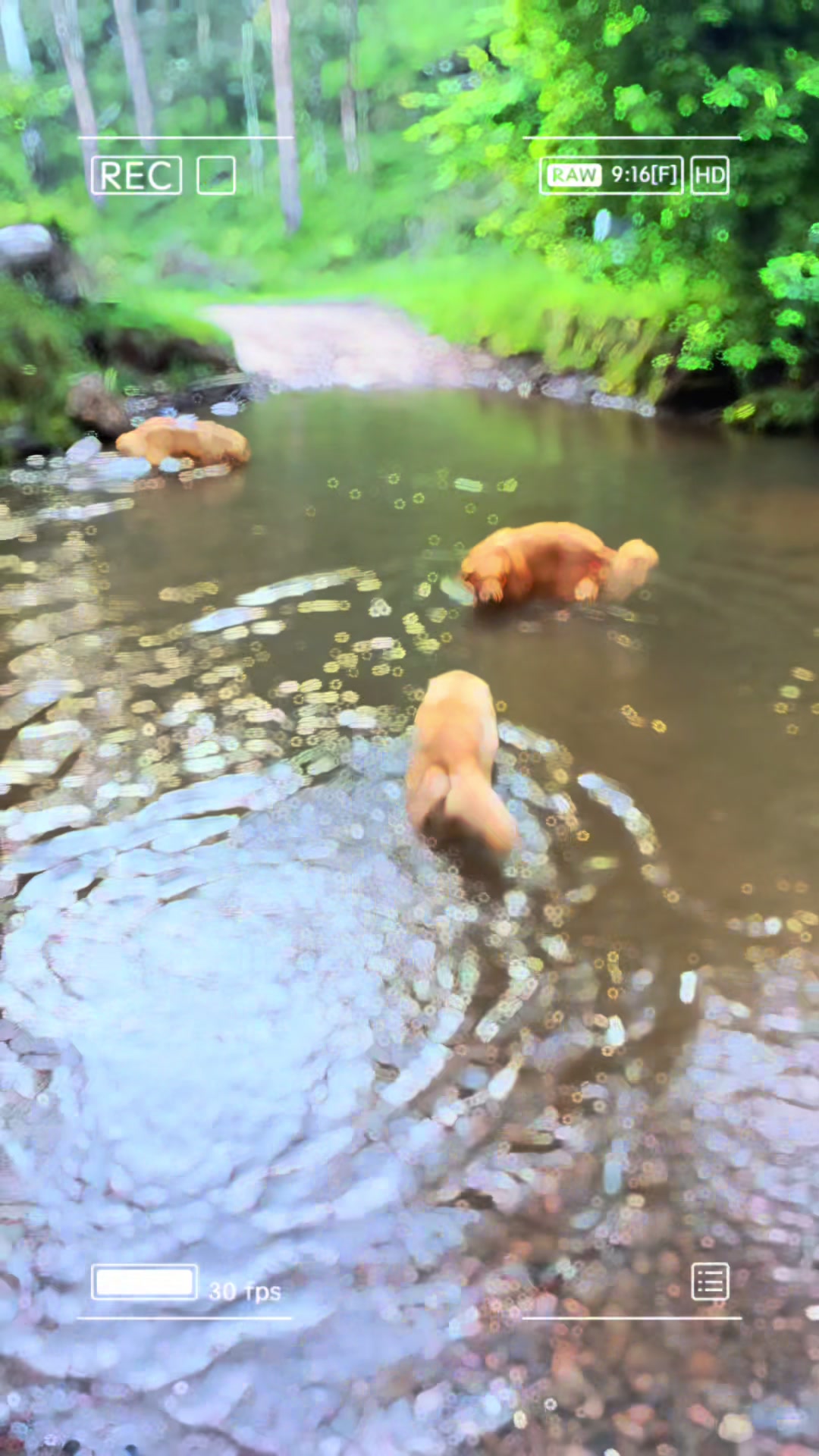 @HighCountryRetrievers