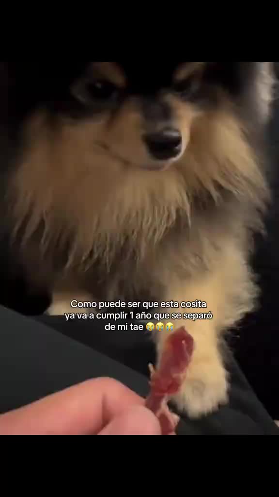 @𝒯𝒶𝑒𝒽𝓎𝓊𝓃𝑔🍓