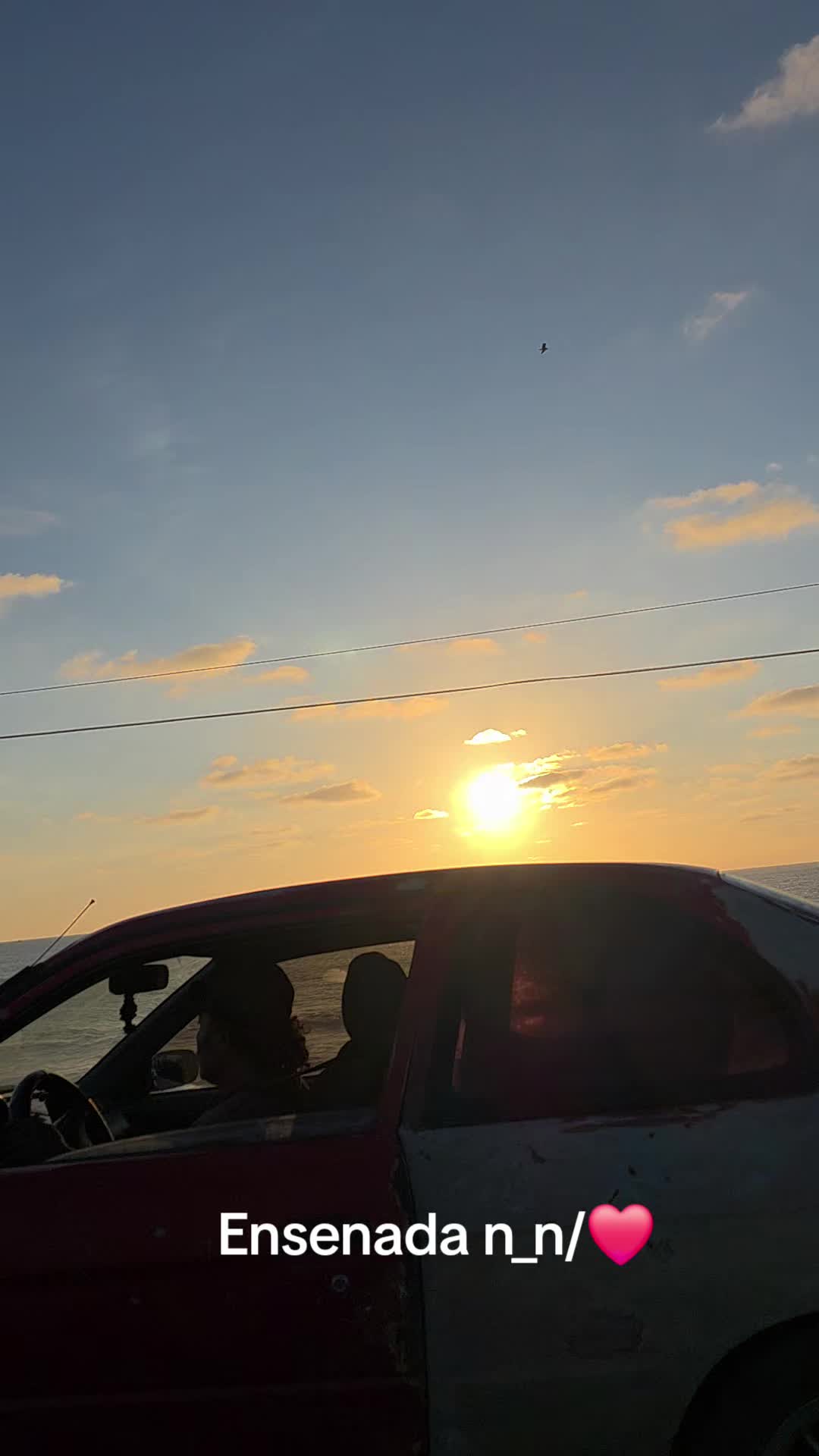 @Eliza2289