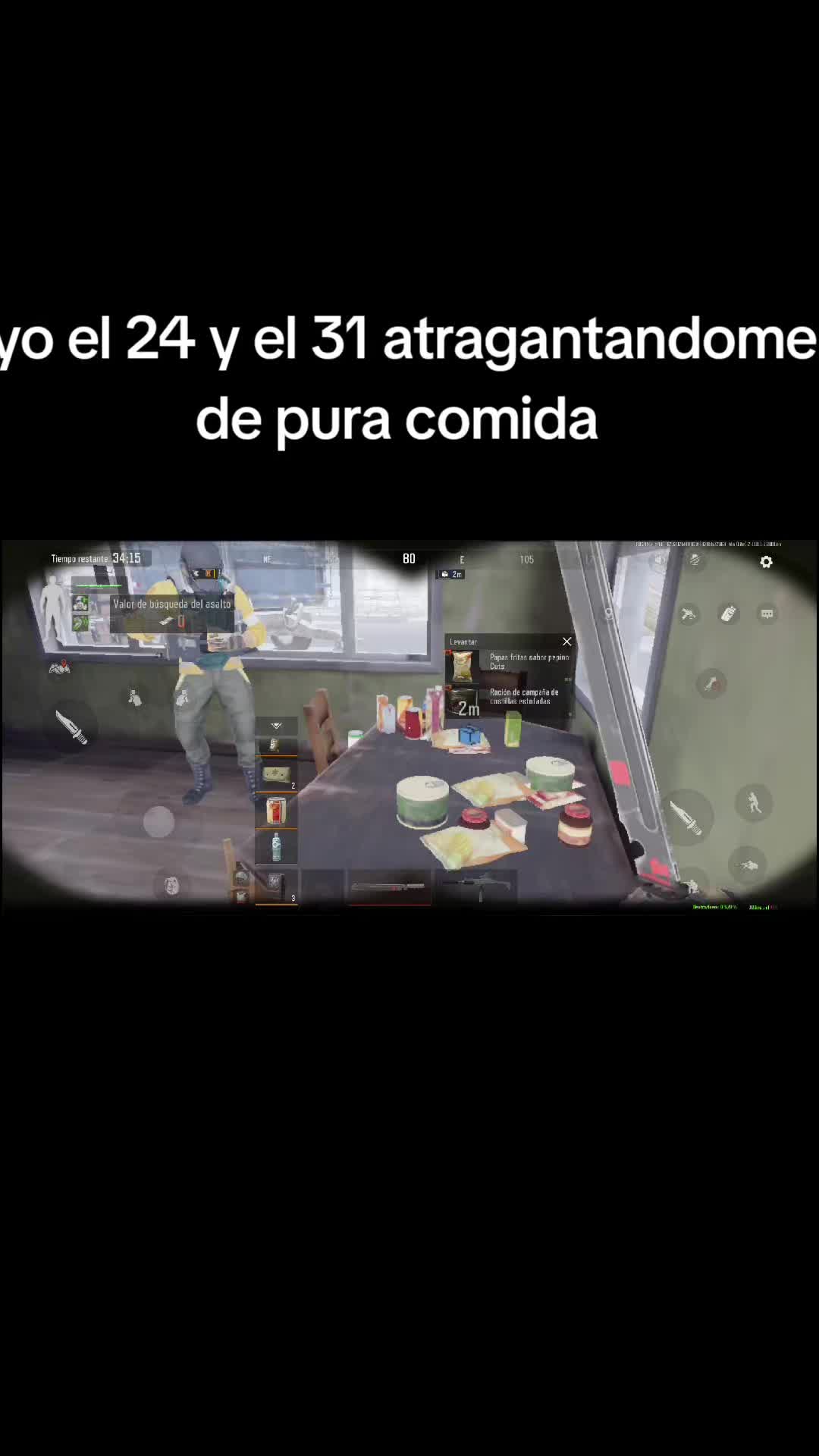 @gato de combate