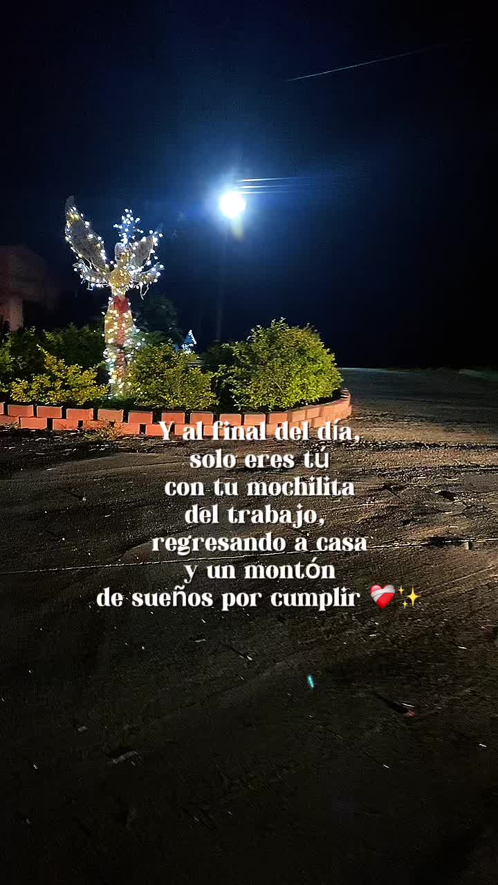 @colocha🥷