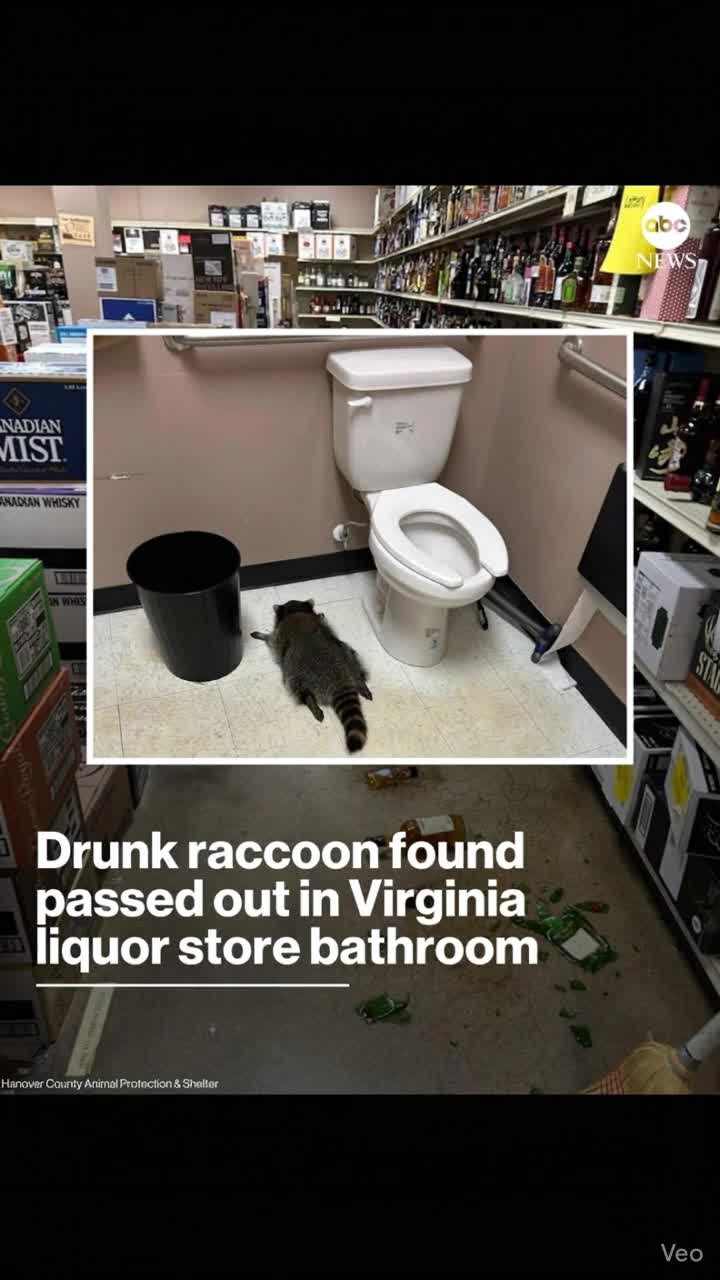 @ScienceBtch