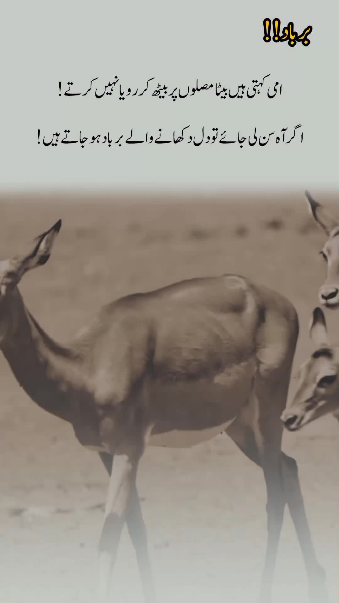 @درد دل