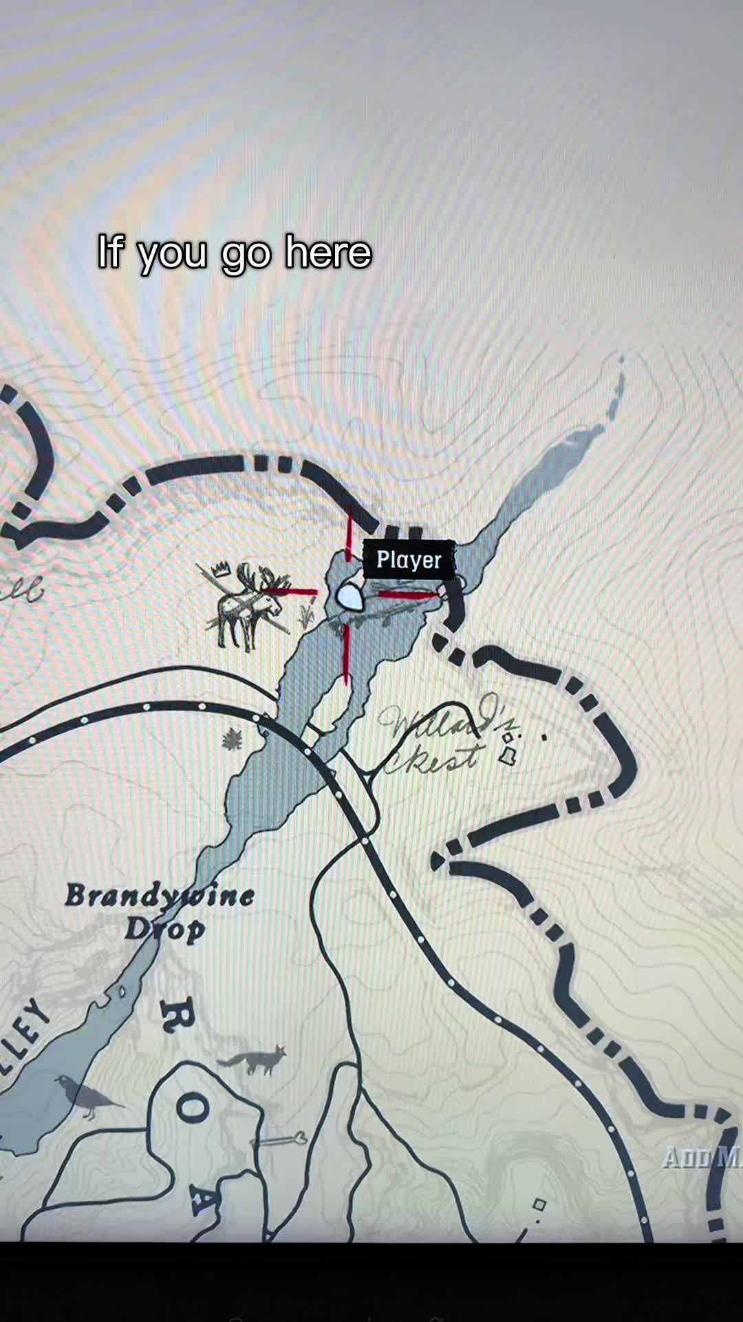 @Reddeadredemption 2