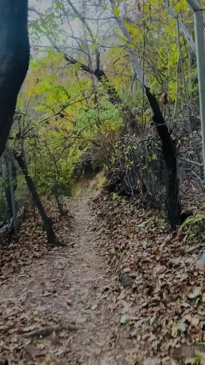 @﮼هەورامی🖤.