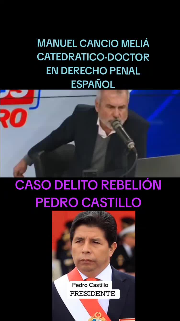 @Amaz&oacute;nica