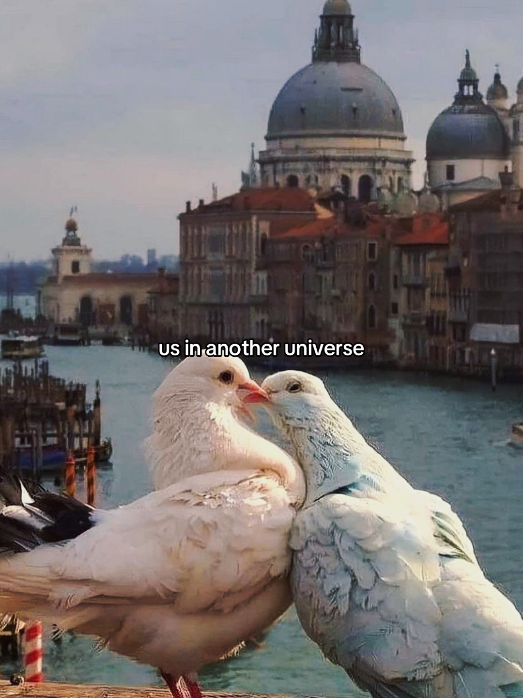 @LOVE + LORE