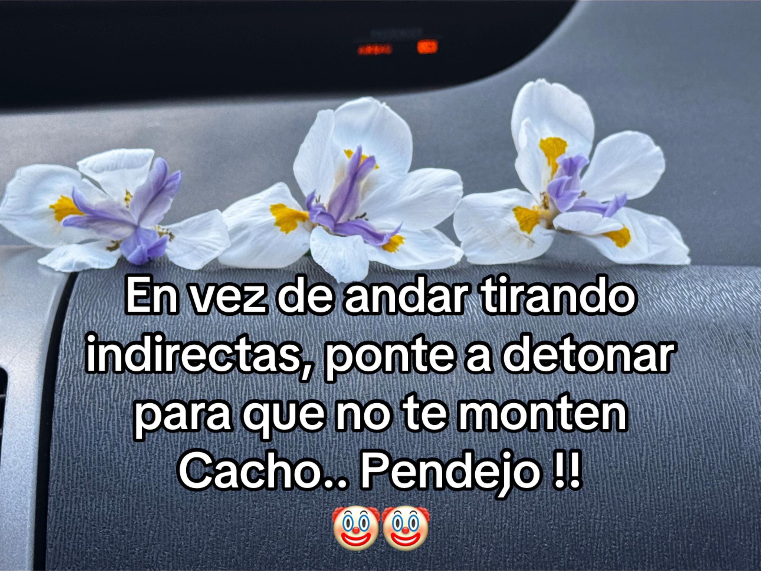 @Barbarita🧿