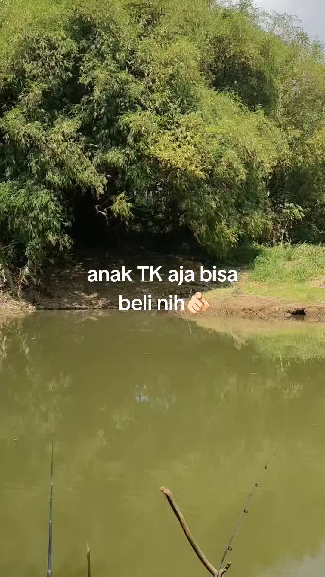 @pemulashopp