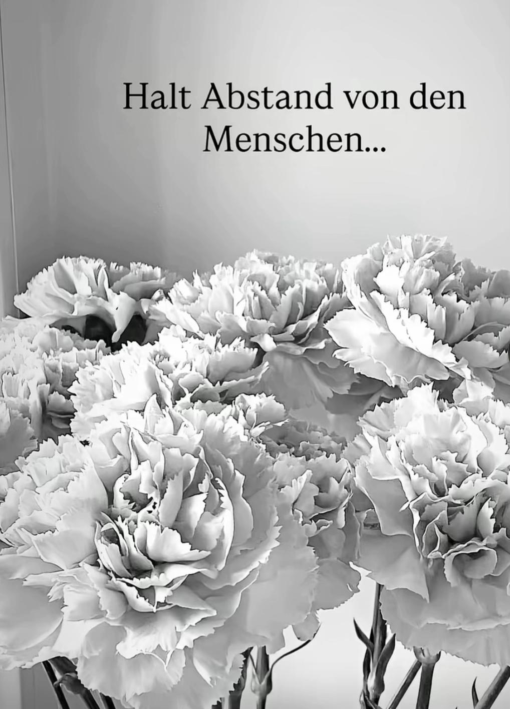 @Sahra feu&szlig;ahrens