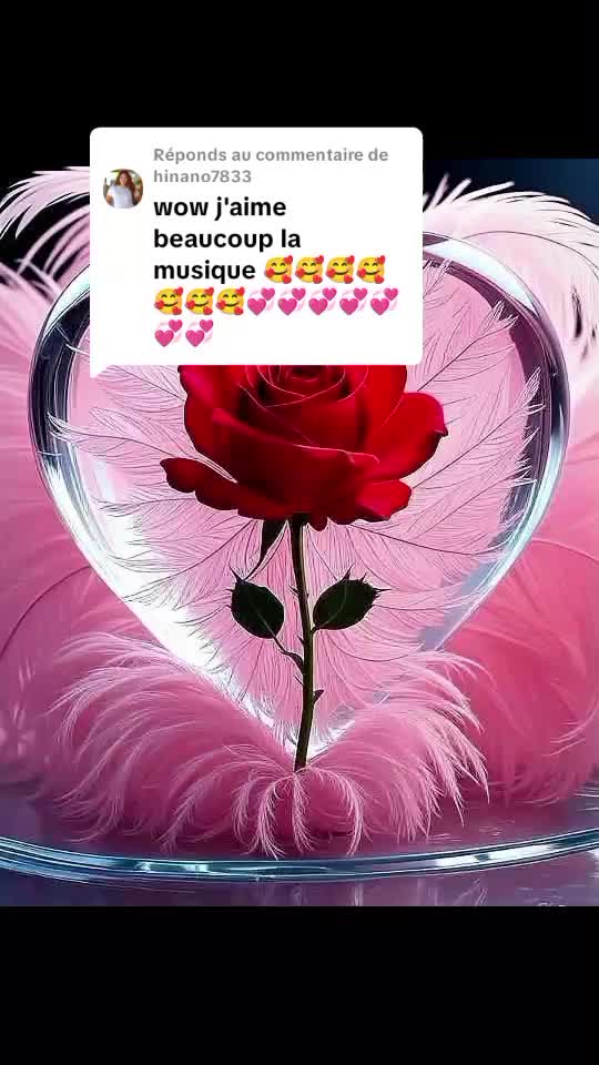 @yaankoubali