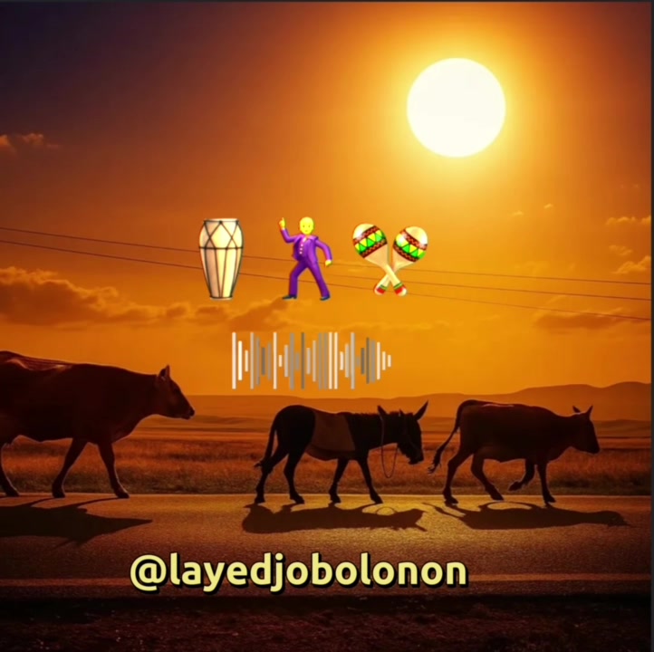 @layedjobolonon