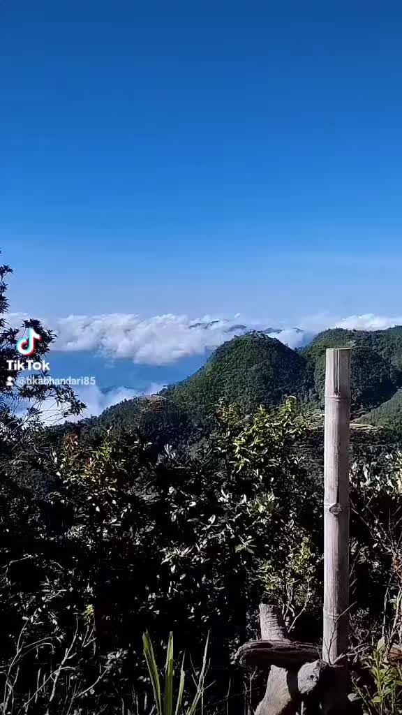 @Tika Bhandari