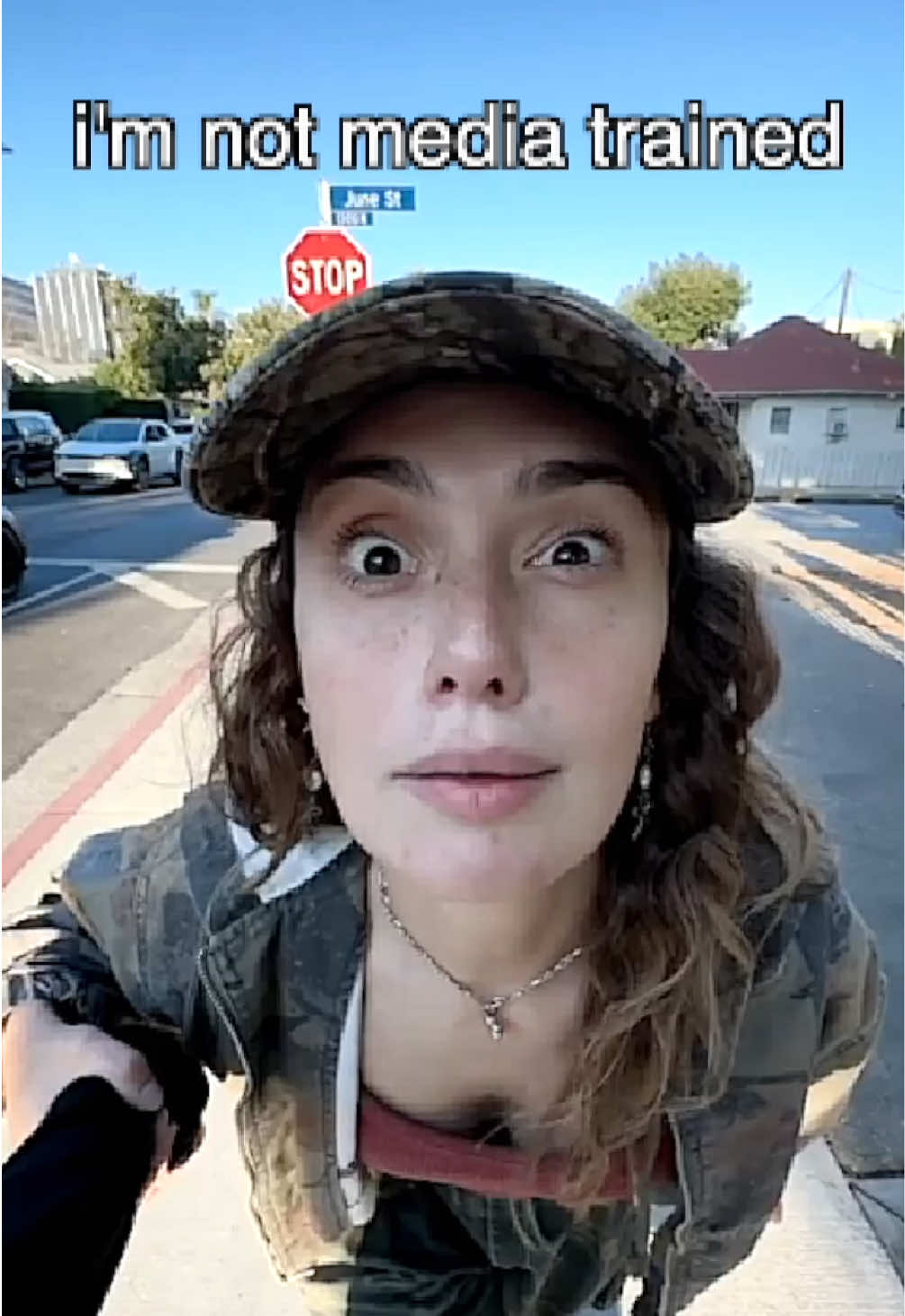 @Dev Lemons