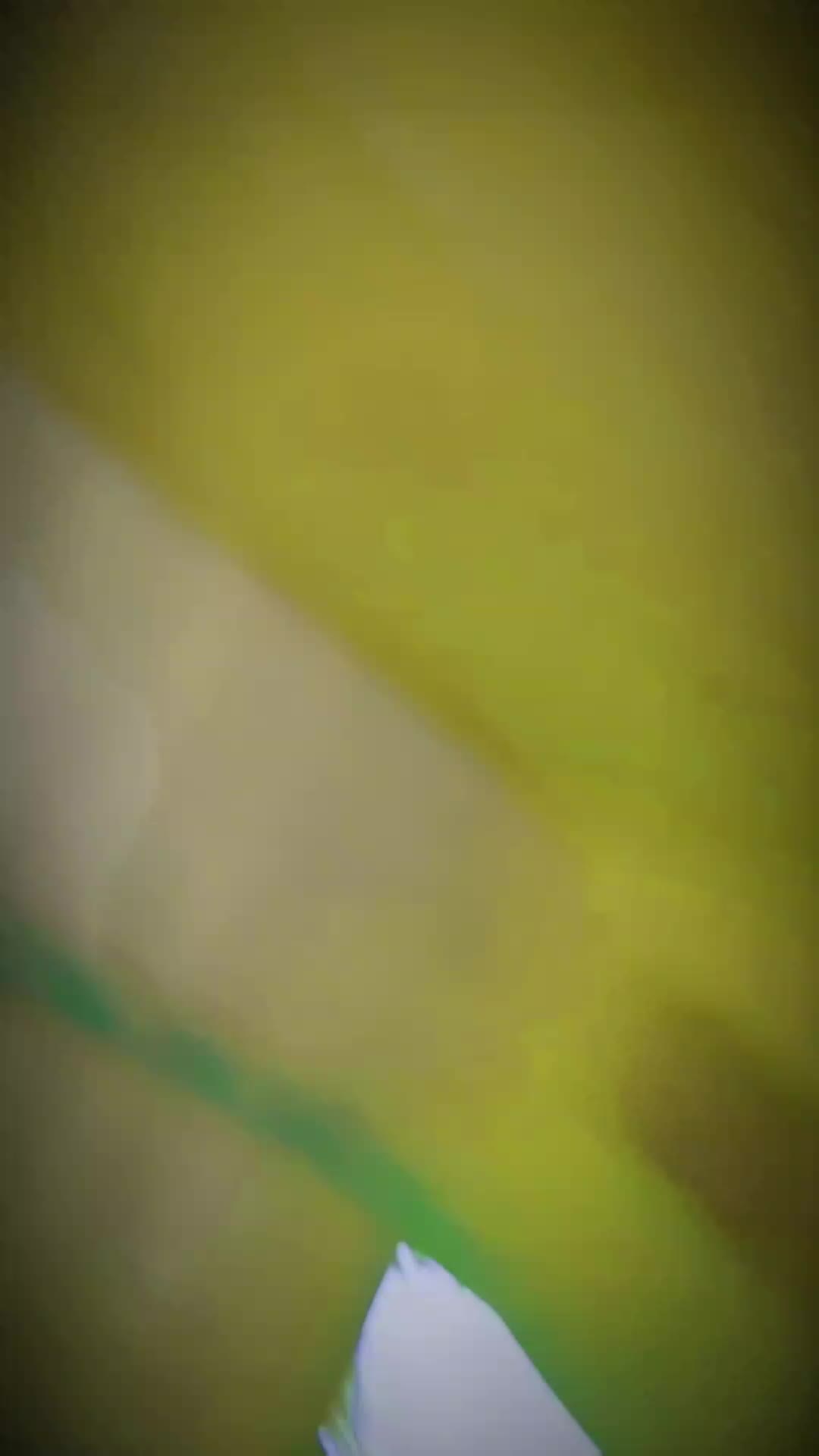 @🕷️Multani 🕸️jútt