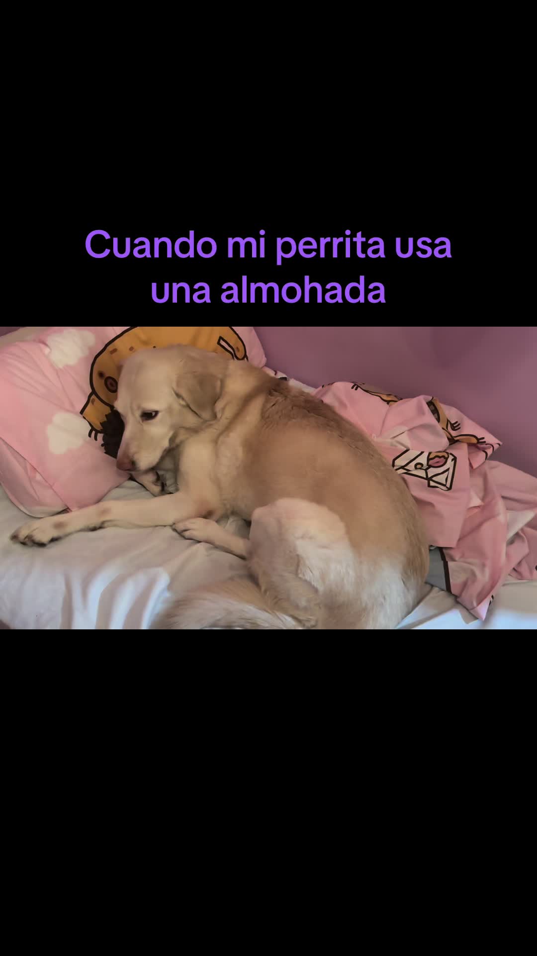 @Anitahprincess