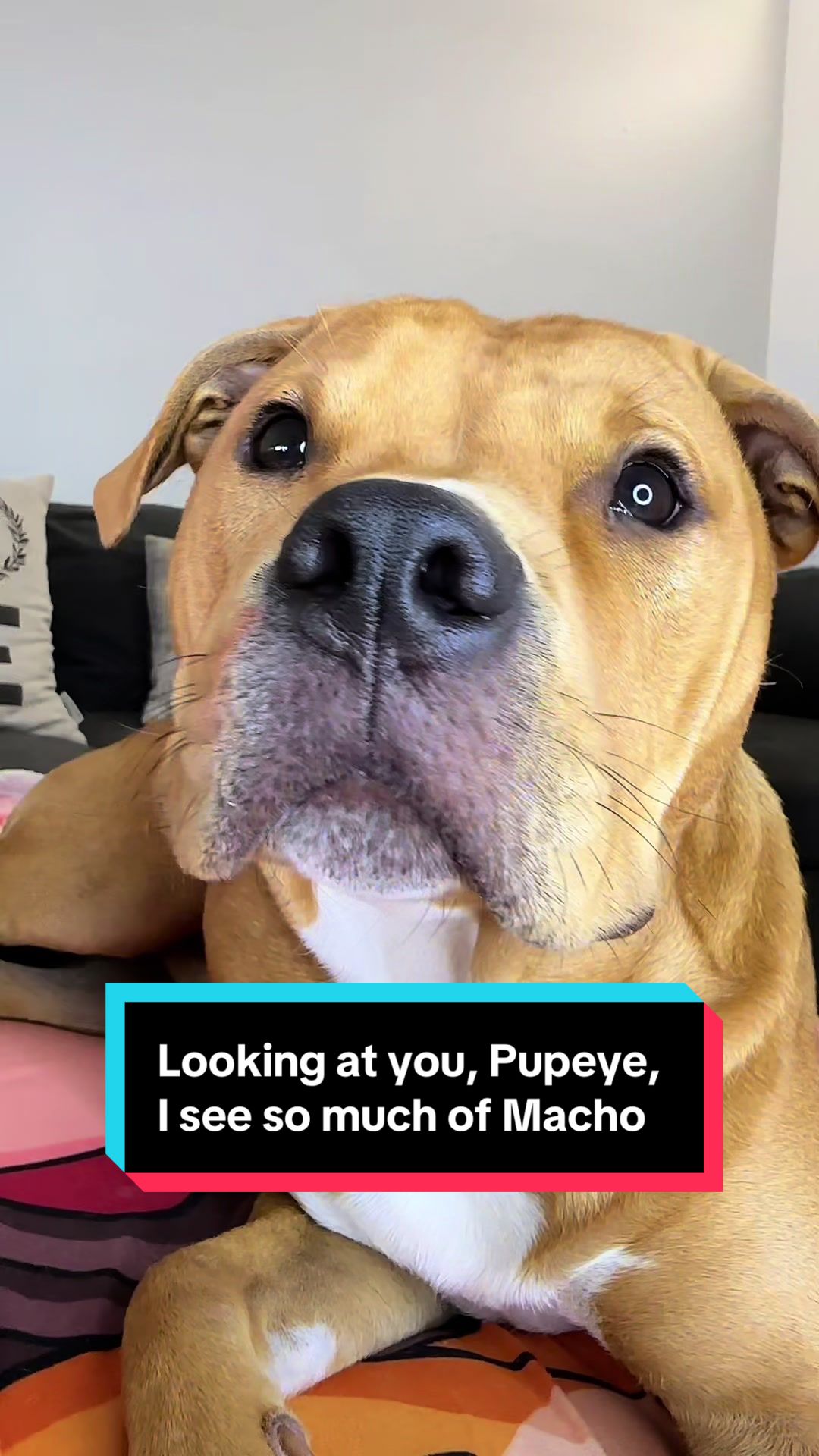 @Kaja & Macho 🥰