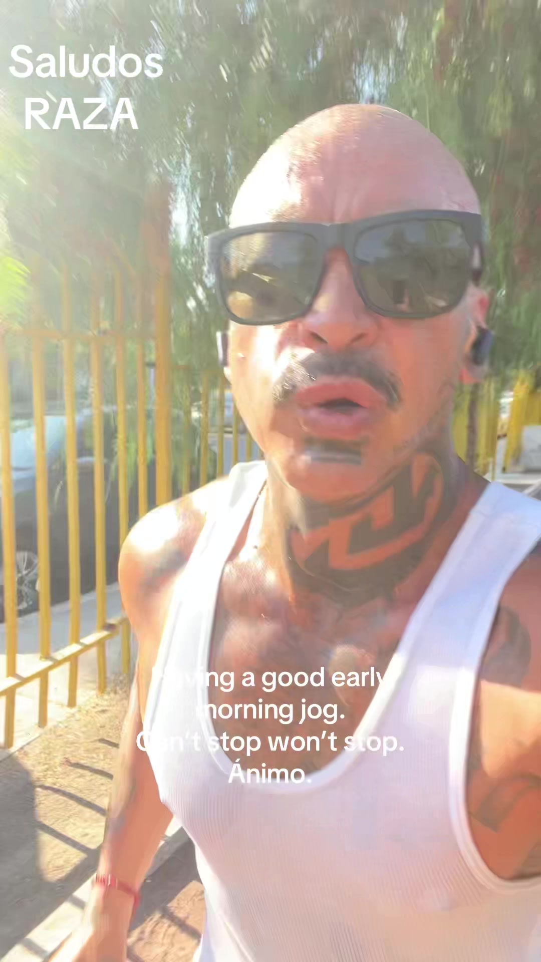 @chinoblue😎