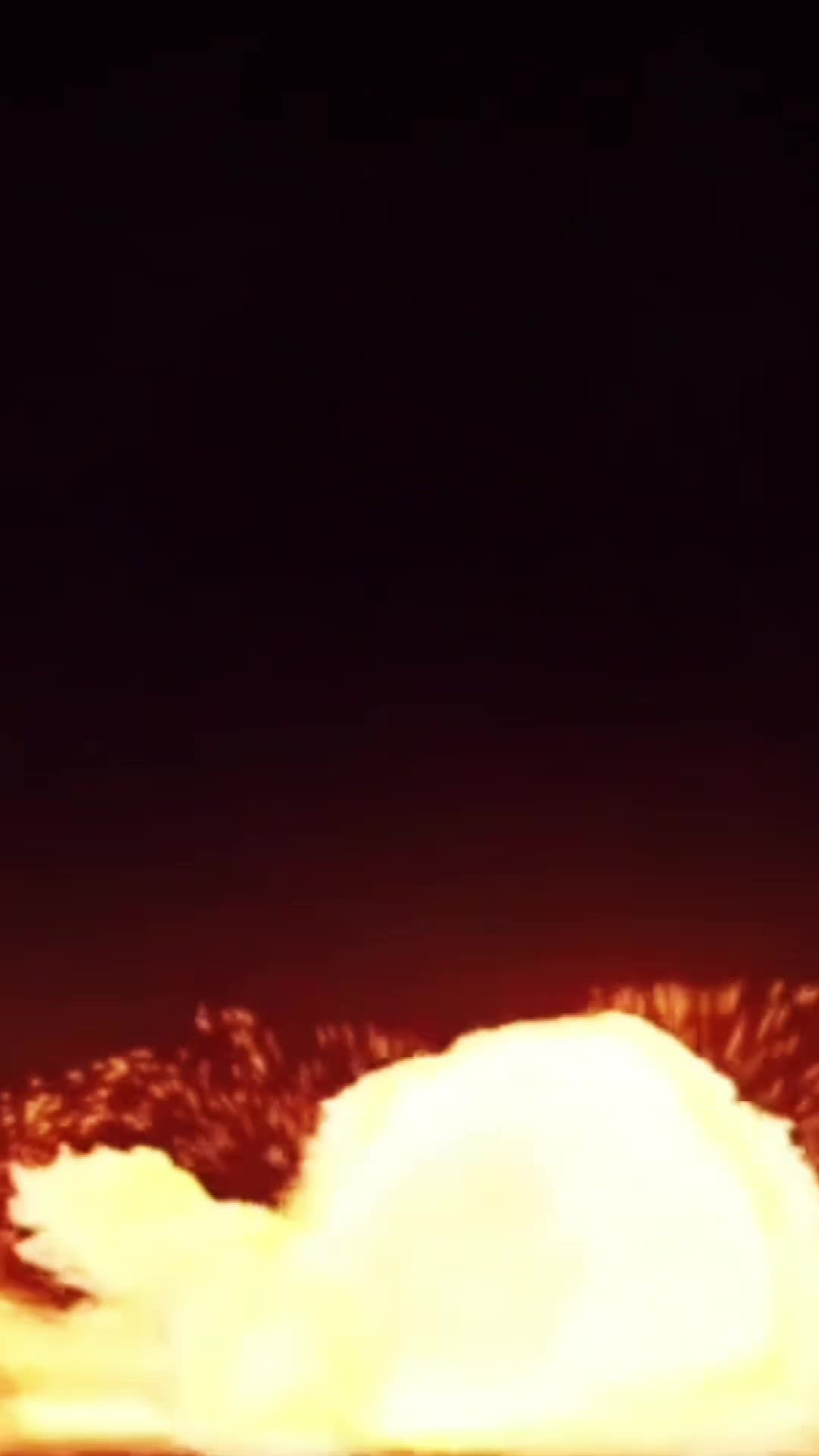 @LionWolv444