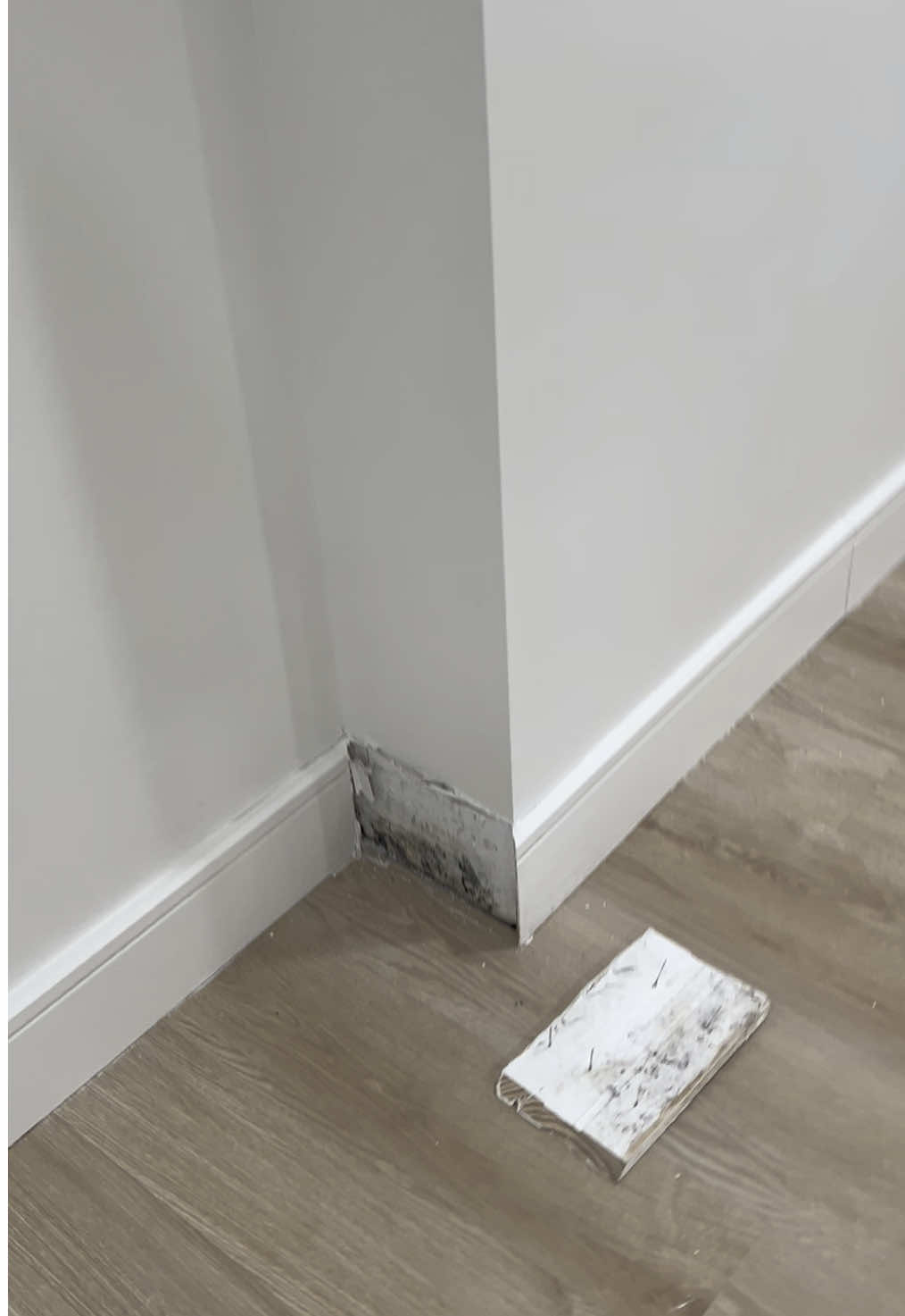 @Long Island Mold Guy