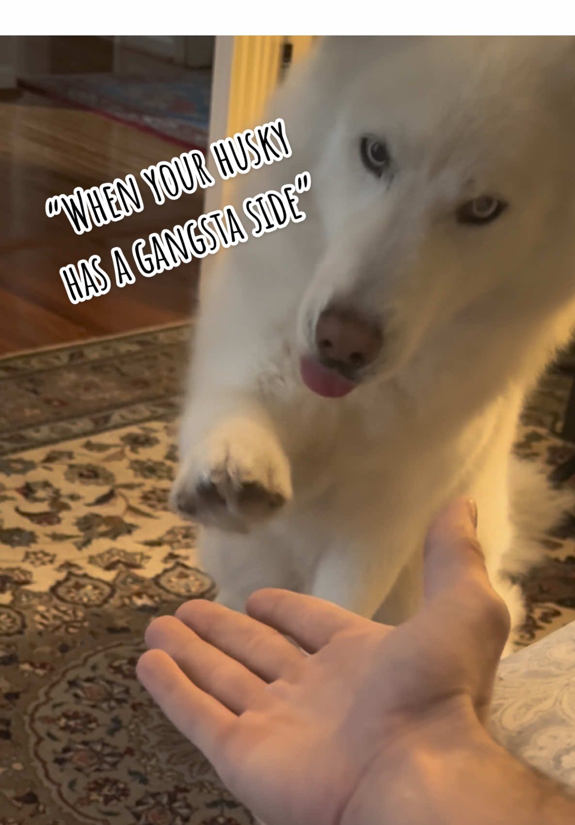 @Tundra