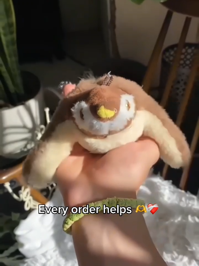 @Purry Paws