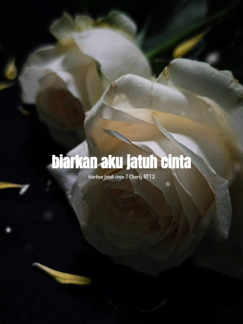 @𝗔𝘄&bull;𝗦𝘁𝗼𝗿𝘆