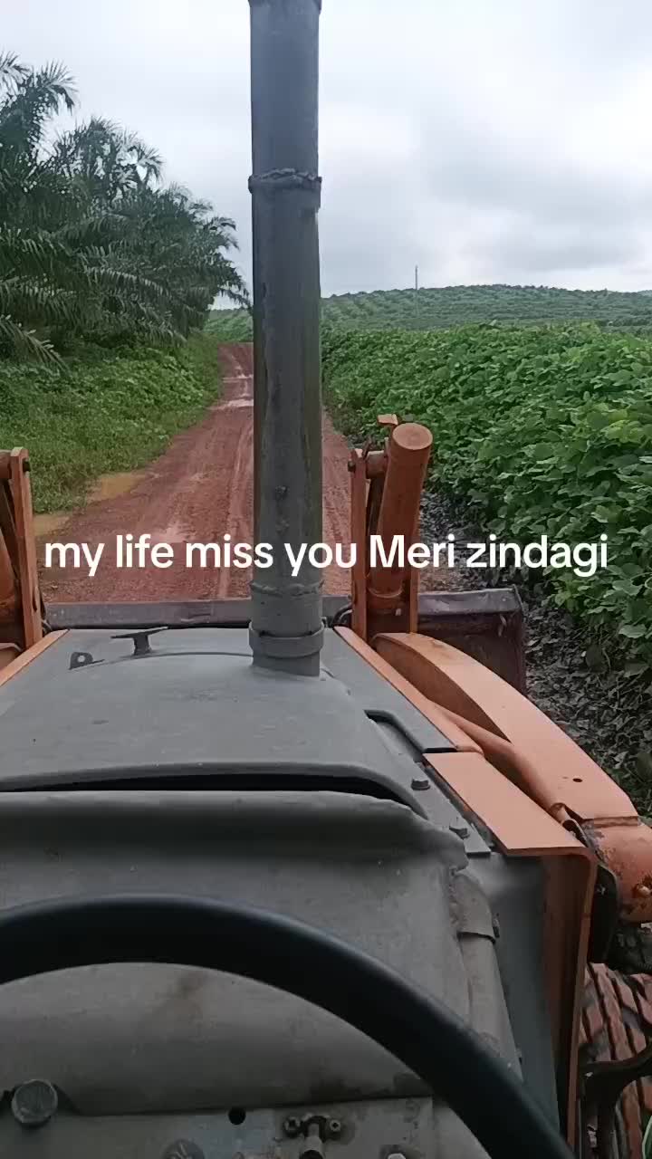 @👤