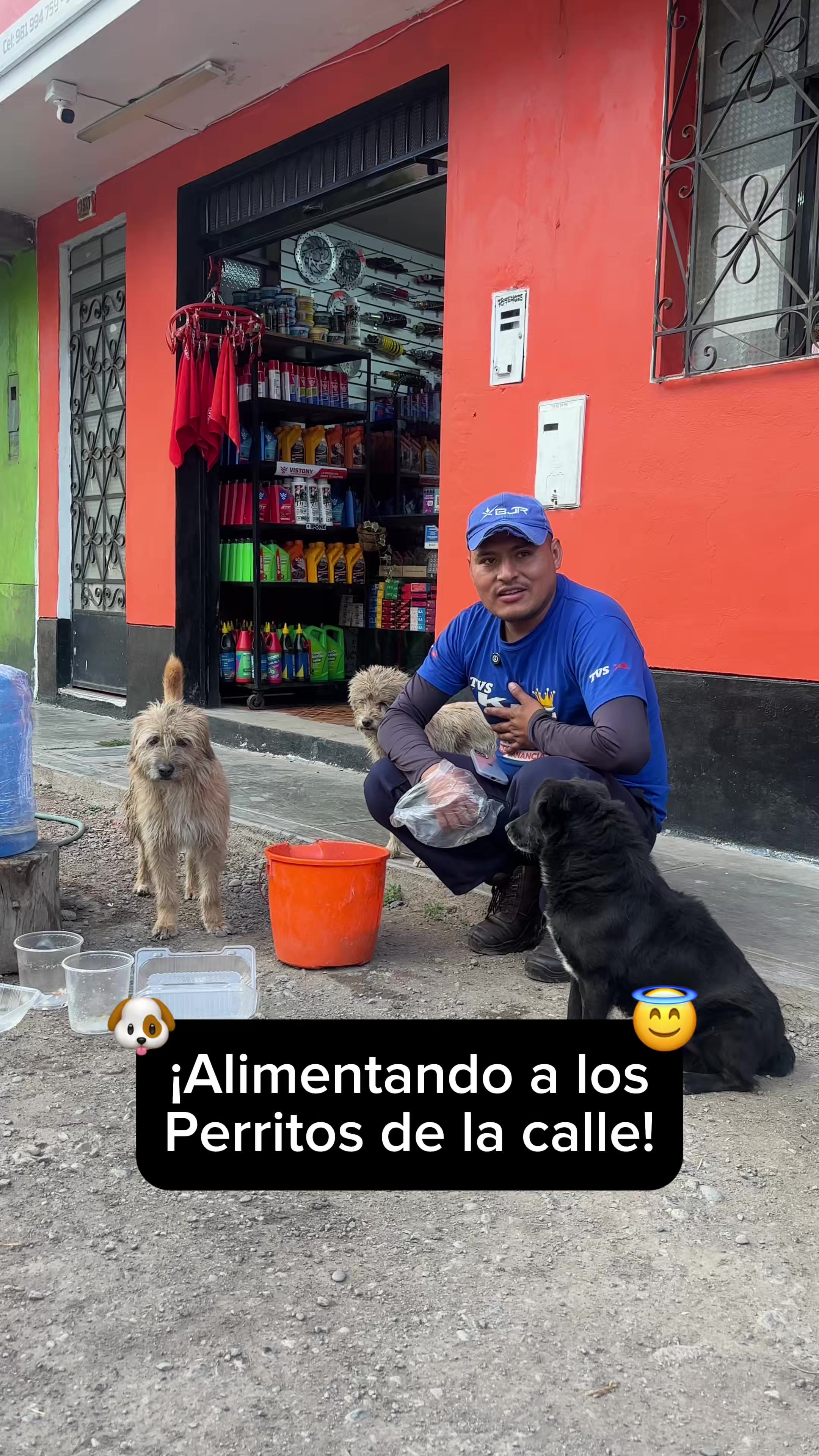 @Cabezotas 🐶