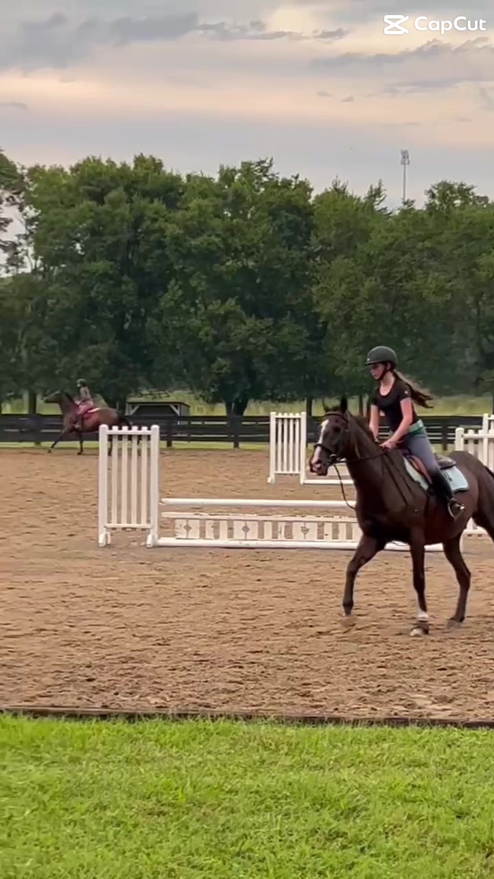 @Eleanor.eq
