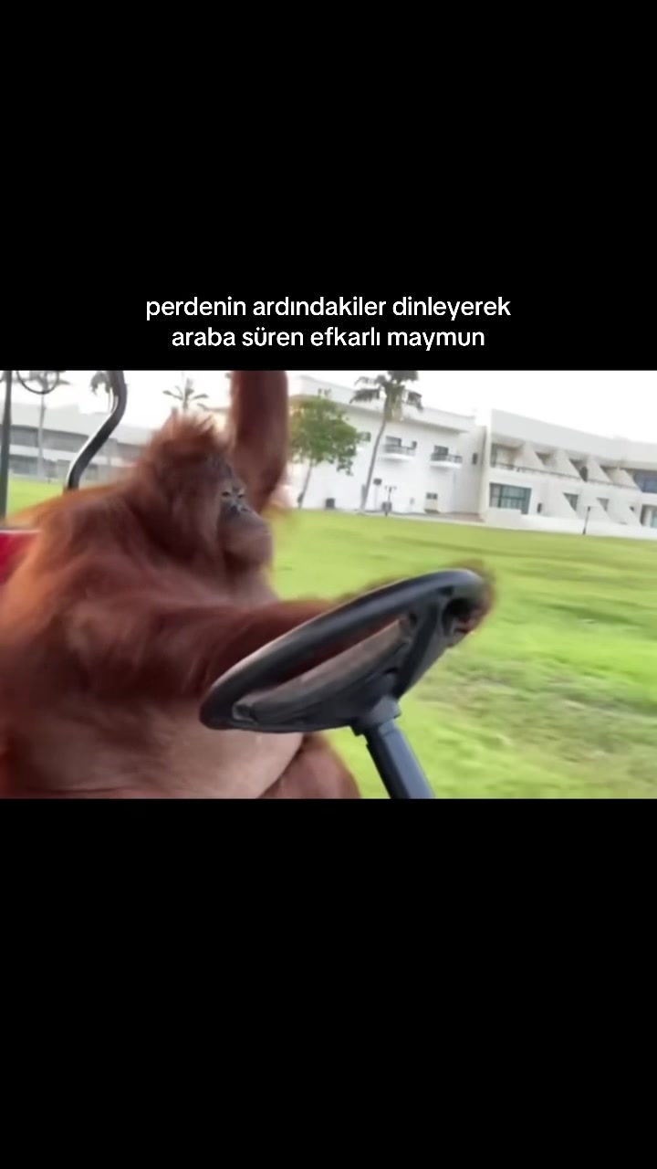 @Perdenin Ardındakiler