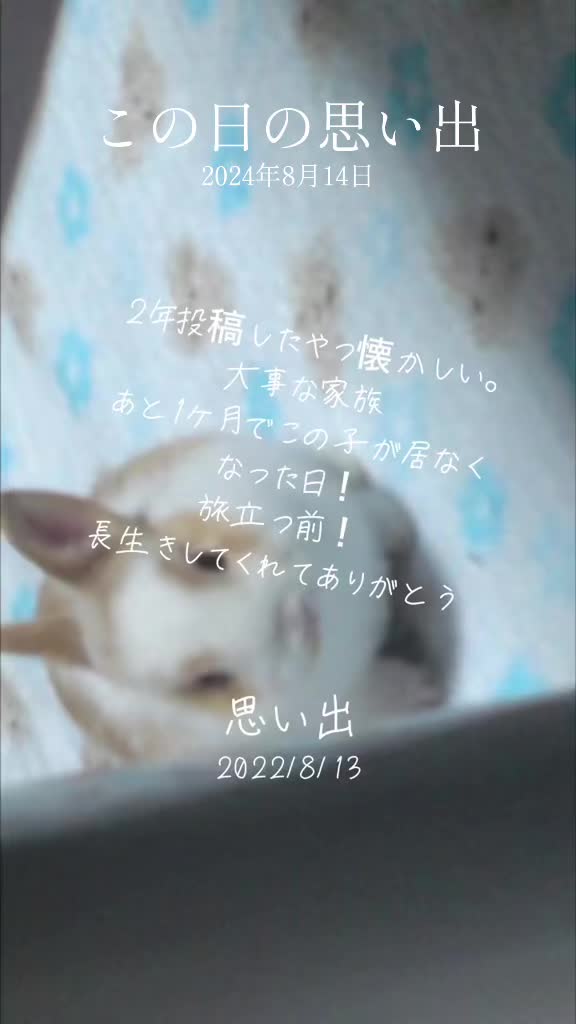 @🐮💋🍒なつみ46🍒🐮💋
