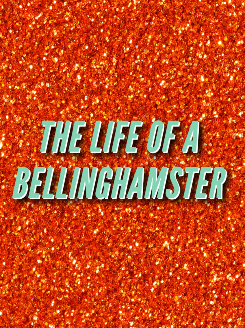 @LiveBellinghamNow
