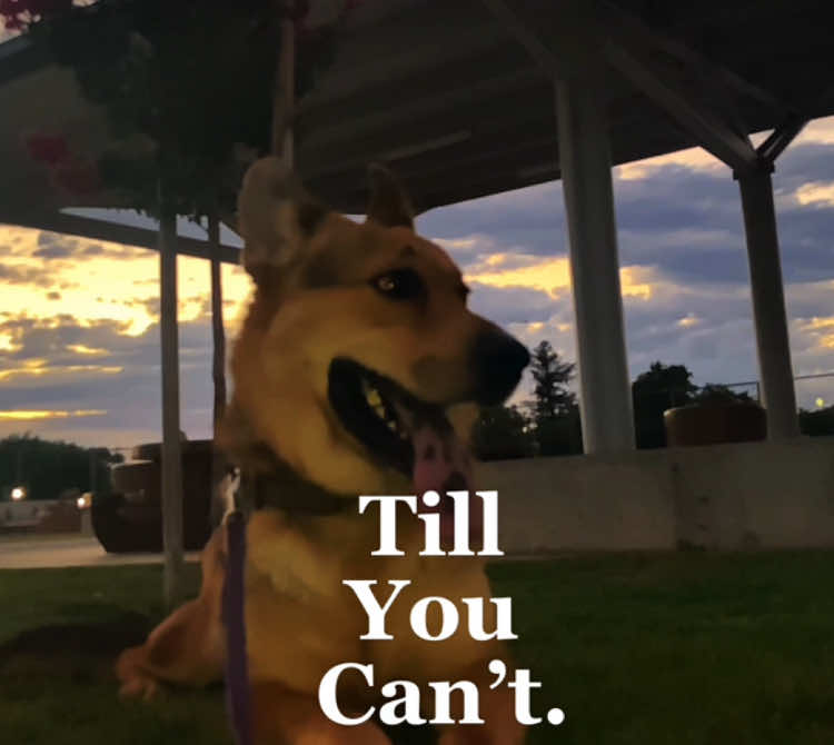 @turbo & Bambi