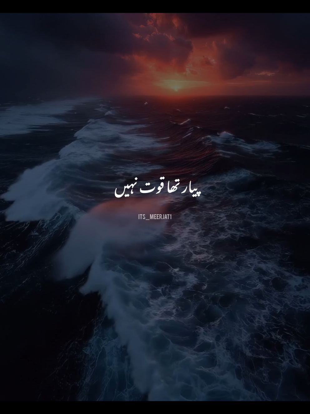 @Its_Meerjat