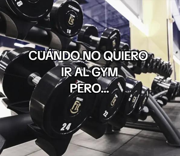 @sebas_fit_martinez