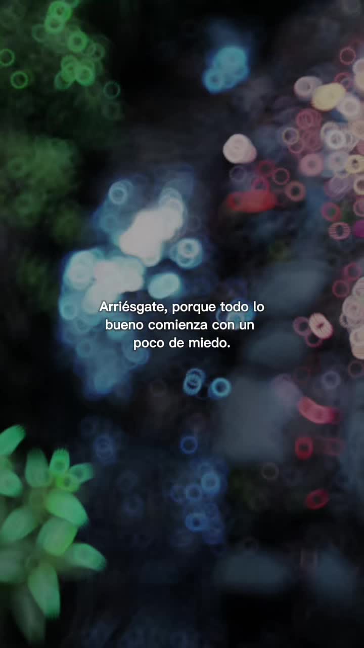@🌸Rom🦩HF🌷