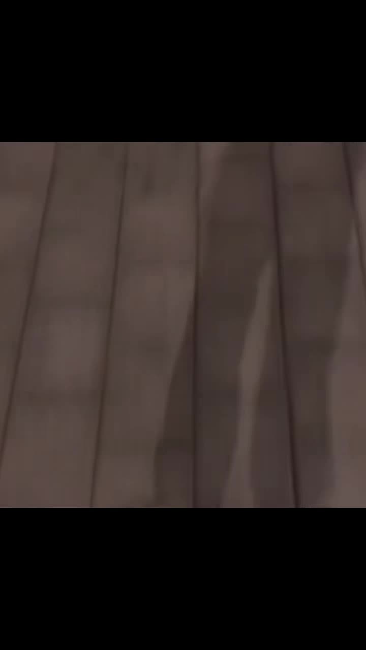 @seiraʕ&bull;ᴥ&bull;ʔ