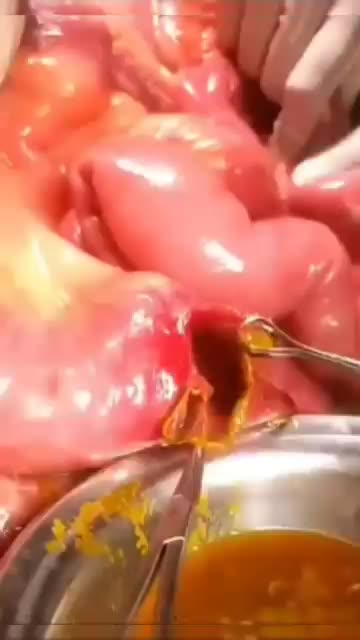 @dr. Gia Pratama