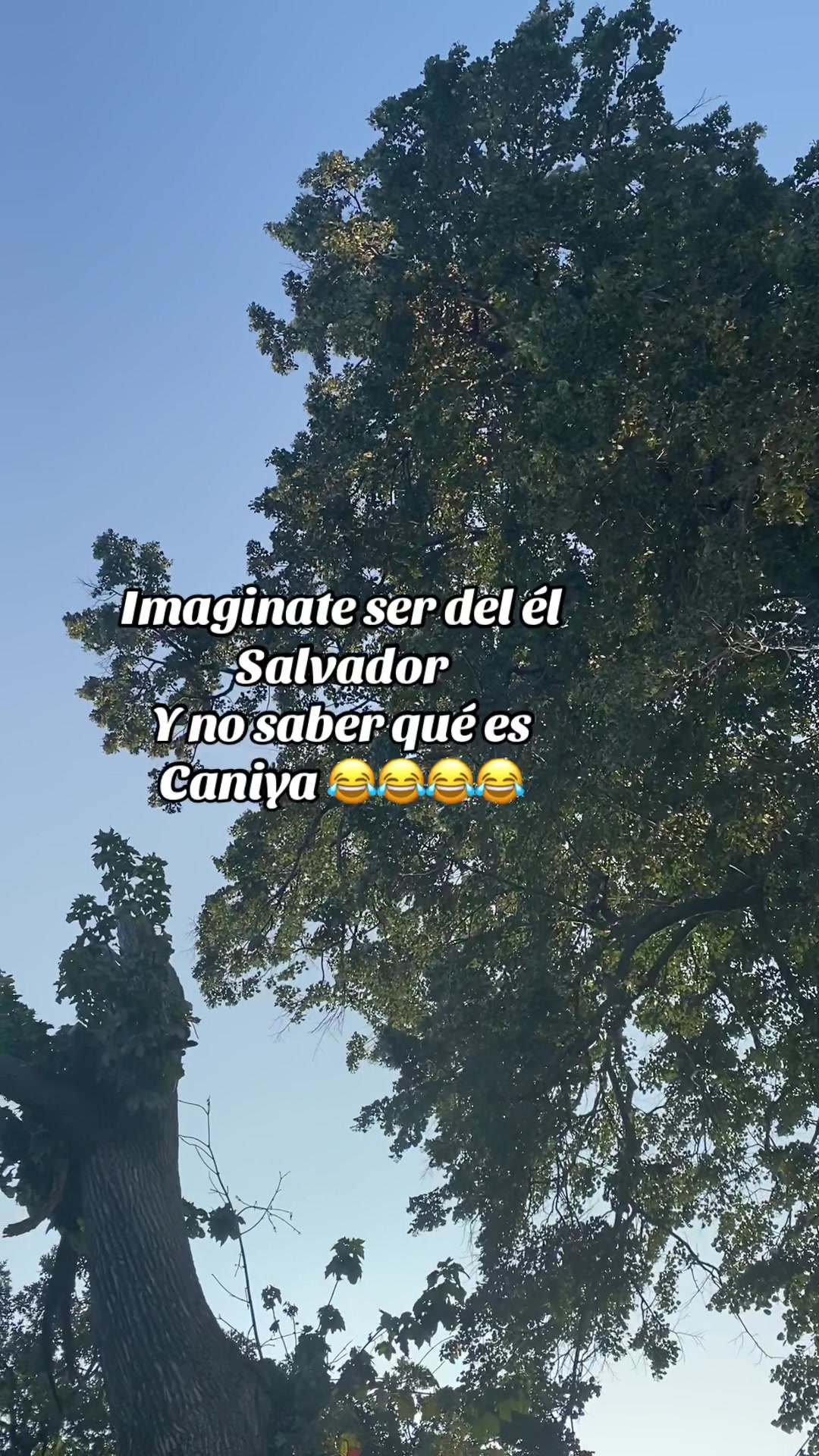 @💛Bonita_Girasol91